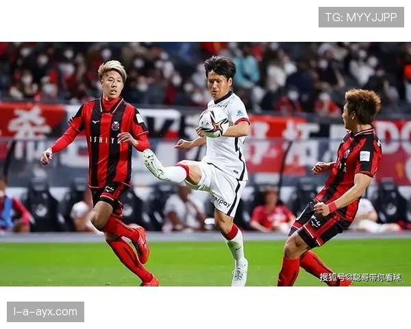 东京队主场迎战东亚杯,力争再创佳绩 东京队主场迎战东亚杯,力争再创佳绩