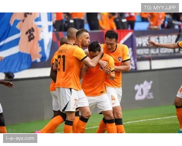 不来梅的比赛节奏对球队表现与球迷热情的影响分析